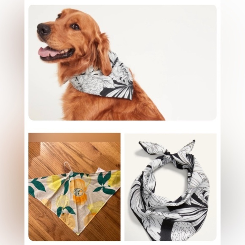 Old Navy Dog Bandanas - 2  NWT